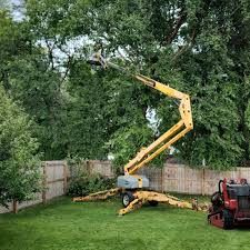 Best Aeration Services  in Gantt, SC