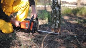 Best Weed Control  in Gantt, SC